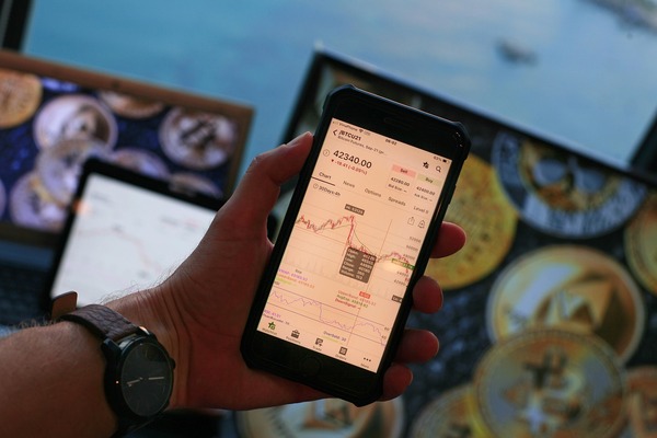 Hand holding a phone above crypto coins