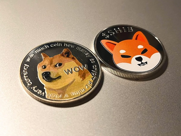 Dogecoin and shiba inu coins