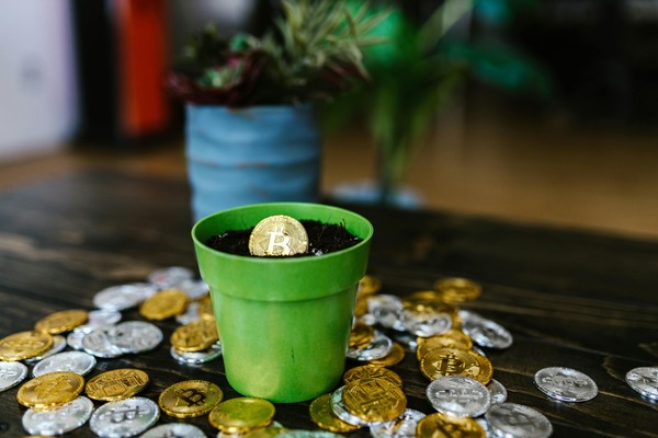 Coin in a plant pot surrounded by coins