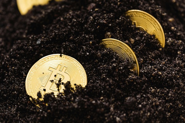 Bitcoin coins half buried in soil